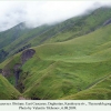 aricia artaxerxes biotope daghestan